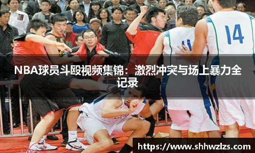 NBA球员斗殴视频集锦：激烈冲突与场上暴力全记录