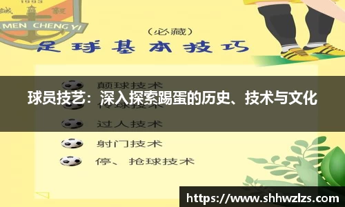 球员技艺：深入探索踢蛋的历史、技术与文化